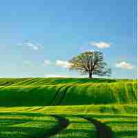 最‍新​百﻿度‍统‌计‍服‌务‌